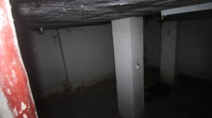 IMG_3390