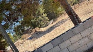 foto_1_recortada