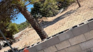 foto_4_recortada
